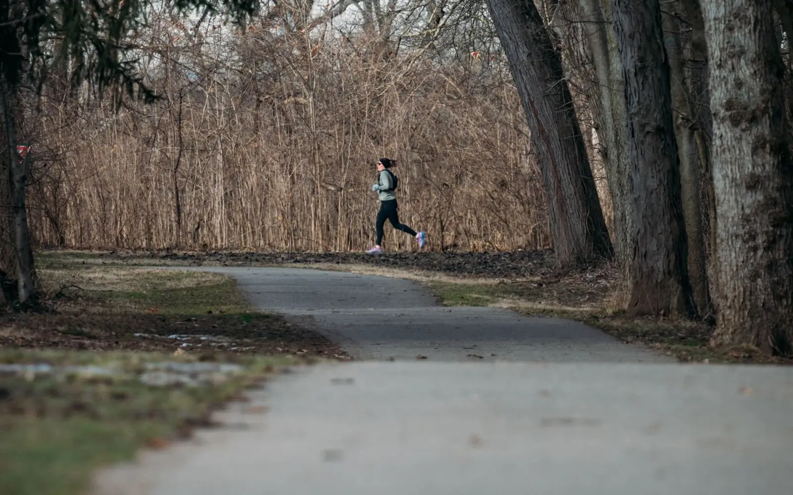 A lone runner jogging along a tree-lined park path in winter, seen from a distance
