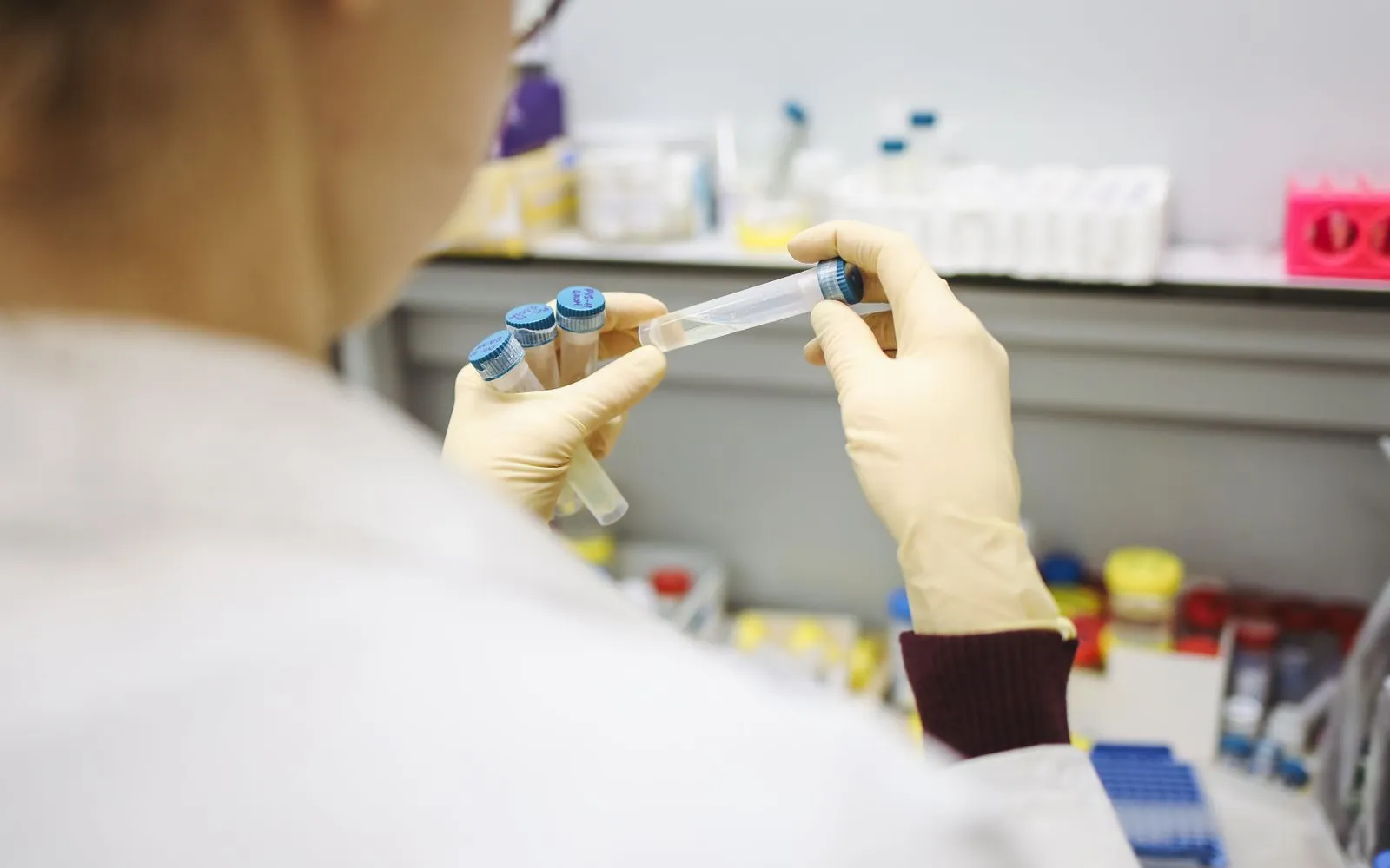 Gloved hands holding small clear sample tubes in a lab, seen from behind