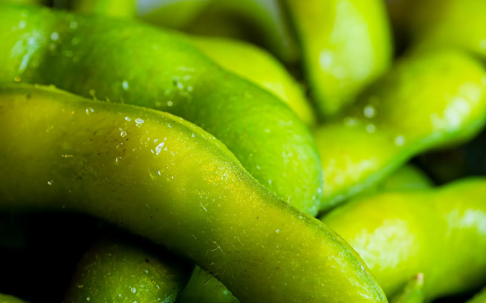 Close-up of boiled edamame pods in a ceramic bowl