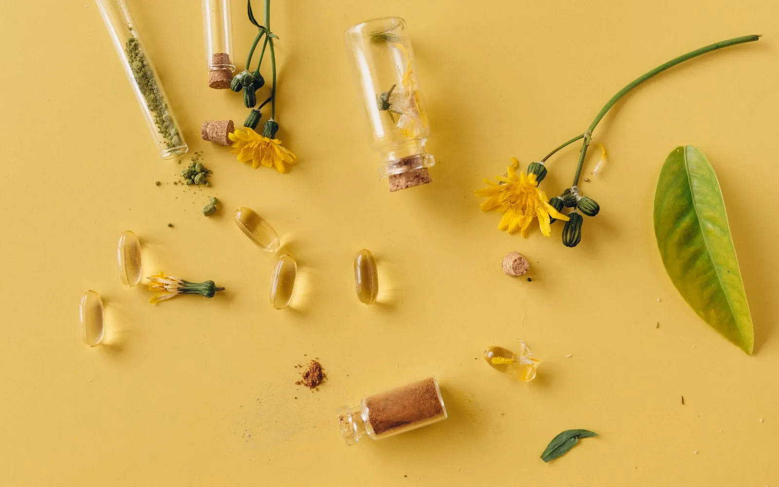 Clear capsules, small glass bottles of herbal powder, yellow flowers and a green leaf scattered on a yellow surface