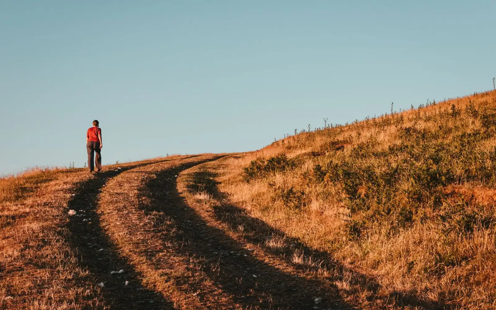 A lone walker, seen from behind and far away, heading up a grassy hill track in evening light